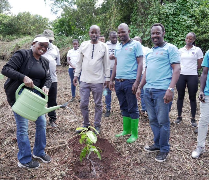 Adopt a Site Milestone – Wangari Maathai Institute