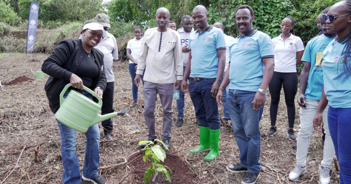 Adopt a Site Milestone – Wangari Maathai Institute