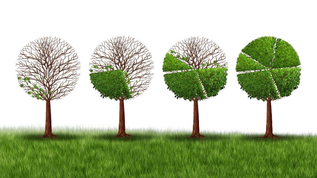 Circular Economy Explained