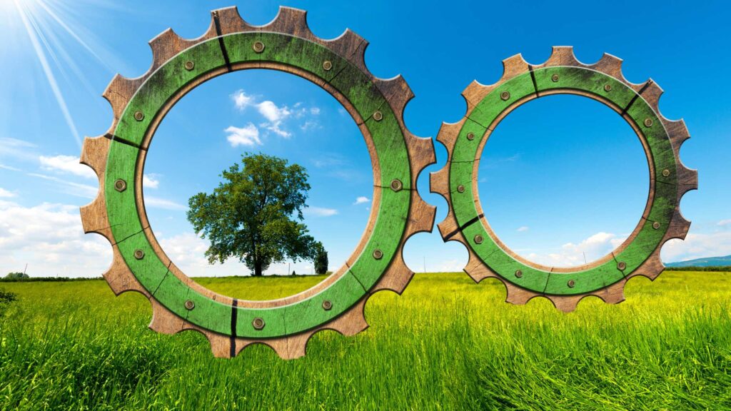 Circular Economy Explained